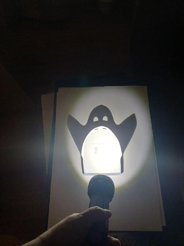 Shadow Ghost